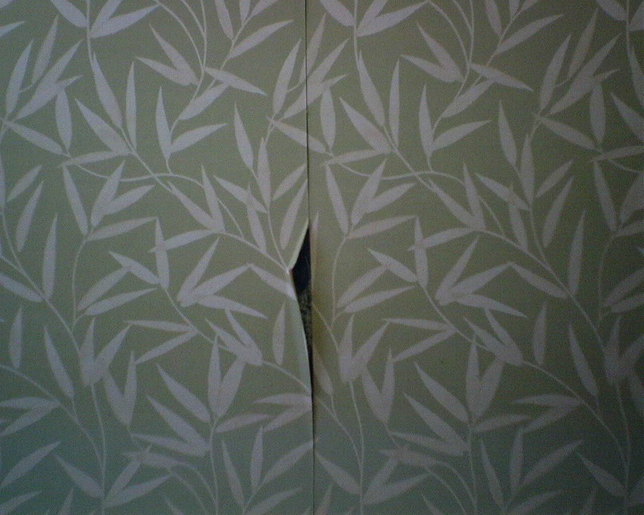 Another Reason Why You DON'T Hang Wallpaper Over Wallpaper | The Wallpaper  Lady's Blog